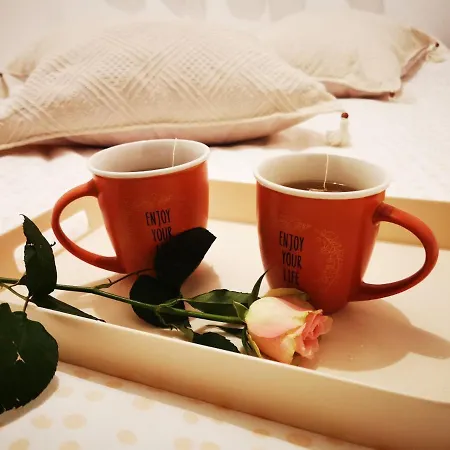 Hiska Soncni Hrib. * נובו מסטו