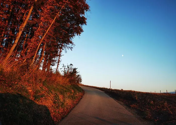 Appartement Hiska Soncni Hrib. Novo Mesto