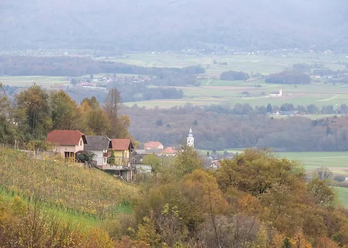 Апартаменты Hiska Soncni Hrib.